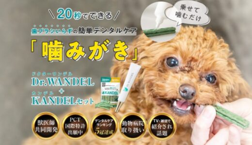 【口コミ】解約できない!?愛犬のデンタルケア ドクターワンデルの評判をチェック!!