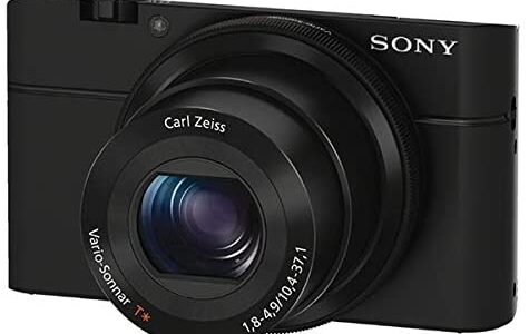 【レビュー】作例つき！SONY DSC-RX100 の評判から使い方まで徹底解説！！