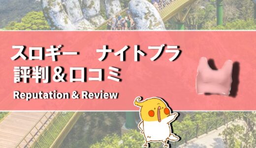 【口コミ】サイズ選びは？スロギー(ナイトブラ)の評判から使い方まで徹底解説！！