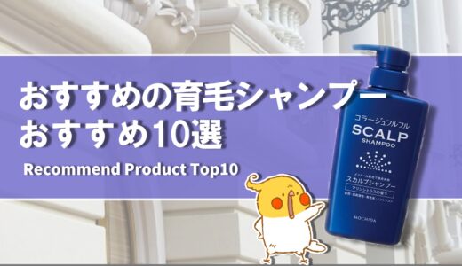 【2024年4月】おすすめの育毛シャンプー10選