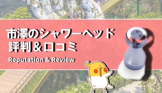 【口コミ】効果なし？市澤のシャワーヘッドの評判から使い方まで徹底解説！！