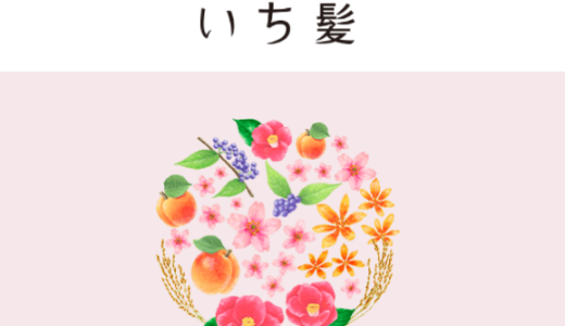 【口コミ】結局どれがおすすめ？いち髪 トリートメントの使い方から評判まで徹底解説！！