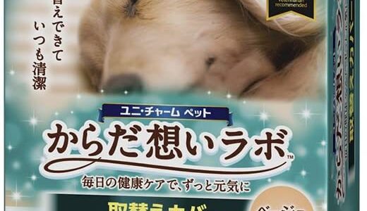 【2024年4月】おすすめの犬用ふとん10選