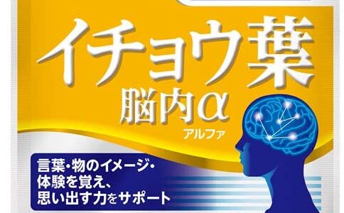 【口コミ】効果なし？イチョウ葉の飲み方から評判まで徹底解説！！