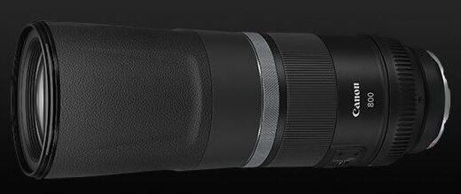 【口コミ】作例付き！rf800mm f11 is stmの使い方から評判まで徹底解説！！