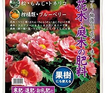 【2024年4月】朝顔におすすめの肥料10選