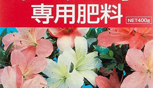 【2024年4月】桜におすすめの肥料10選