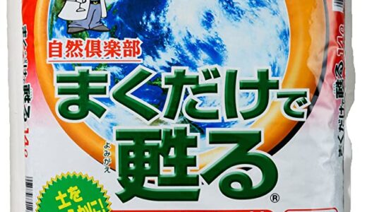 【2024年4月】ひまわりにおすすめの肥料10選