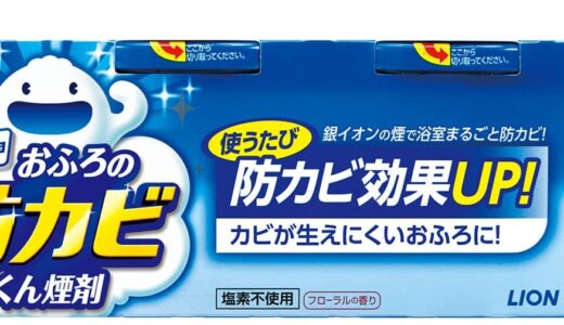 【口コミ】危険性は？防カビくん煙剤の評判から使い方まで徹底解説！！