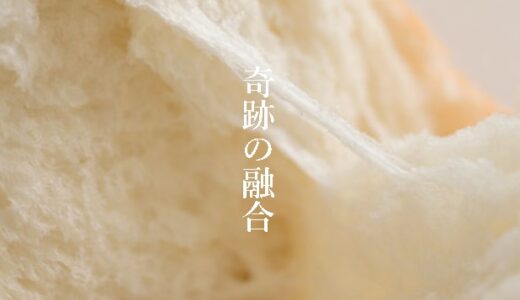 【口コミ】まずい？銀座にしかわ 食パンの評判から食べ方まで徹底解説！！