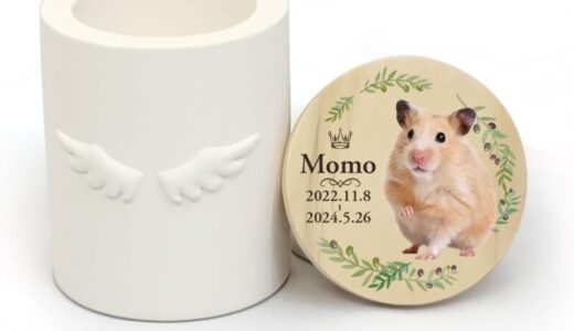 下のソーシャルリンクからフォロー