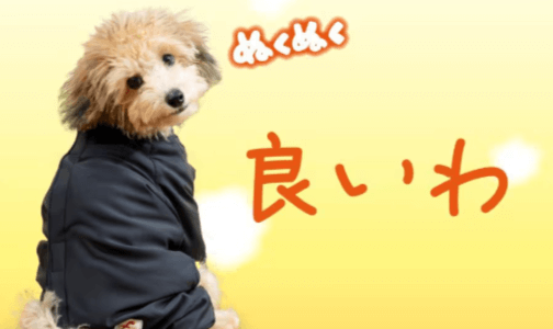 【口コミ】いつ届く？F’sWISHの評判から購入方法まで徹底解説！！